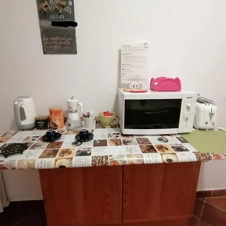 La Donna Con La Valigia
